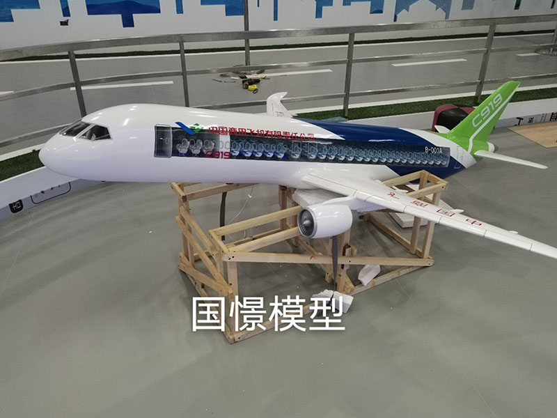 容城县飞机模型